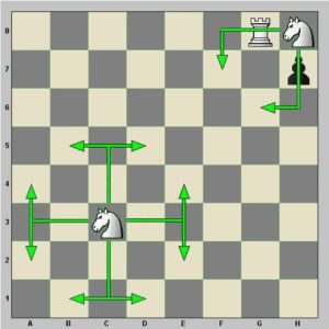 Diagramme : le cavalier