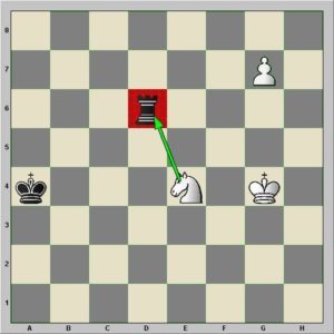 Diagramme : le cavalier