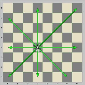 Diagramme : la dame