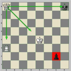 Diagramme : la dame