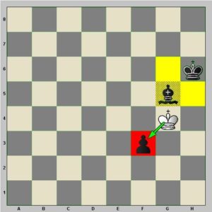 Diagramme : le roi